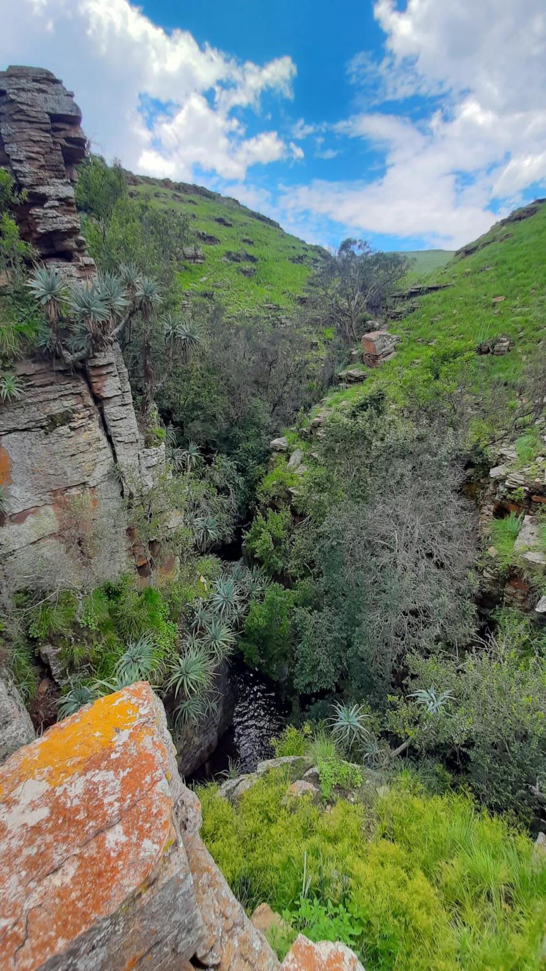 Schaefers' Halt Hotel Dullstroom Luaran gambar