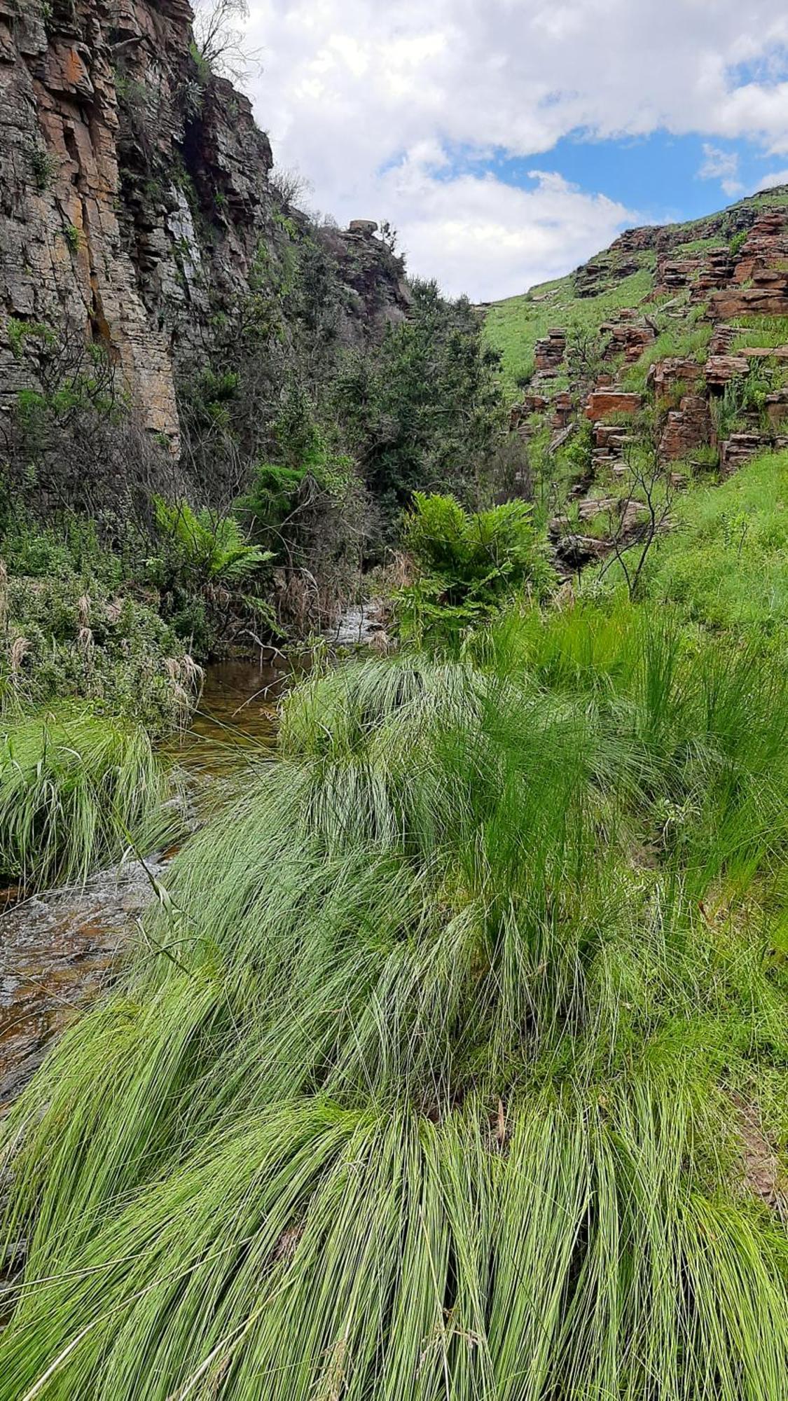 Schaefers' Halt Hotel Dullstroom Luaran gambar